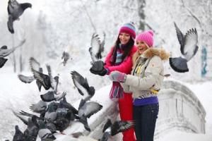 Click to enlarge birds