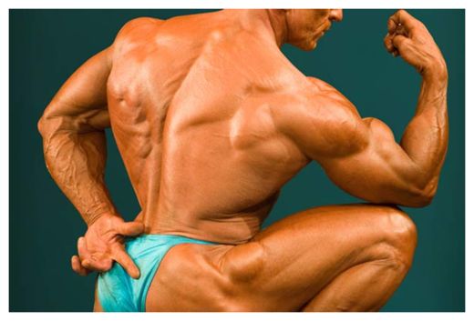 Click to enlarge Body Builder