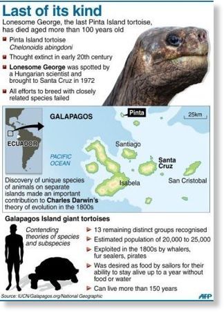 Click to enlarge Image