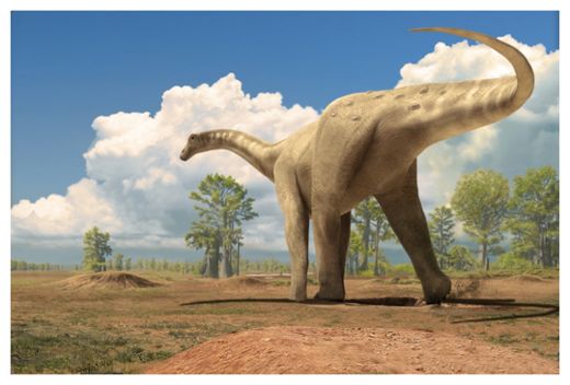 Click to enlarge Dino