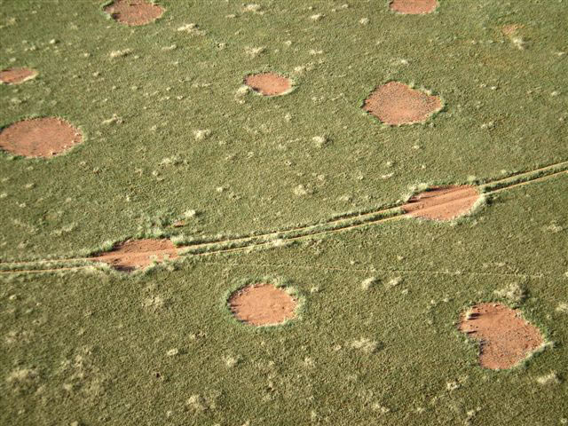 Click to enlarge Fairy Circles_2