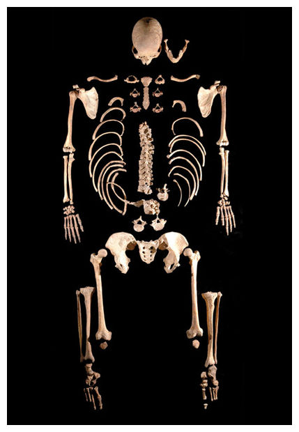 Click to enlarge Ancient Skeleton