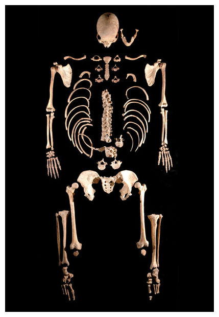 Ancient Skeleton