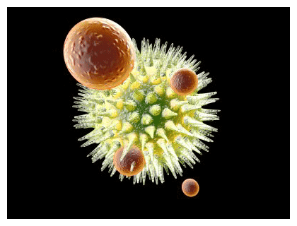Click to enlarge Bacteria