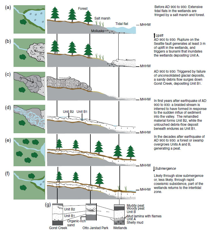 Seatle Fault