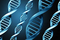Click to enlarge gene graphic