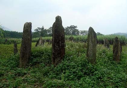 Vietnam Cemetary_2