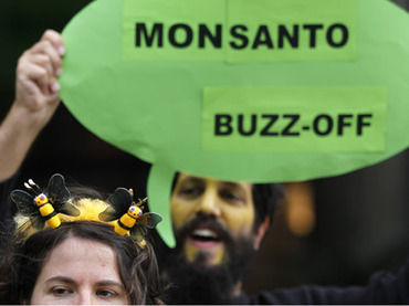 protest outside Monsanto's office