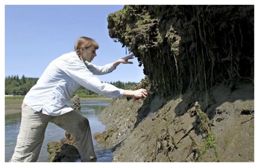 Click to enlarge Ancient Tsunami