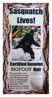 Click to enlarge Bigfoot Hair_1