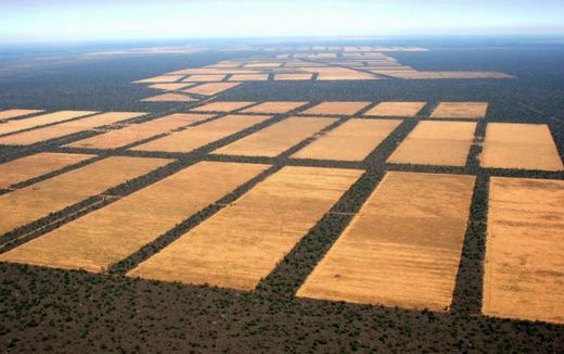 Deforestacion Guayra