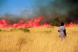 Hunting with fire