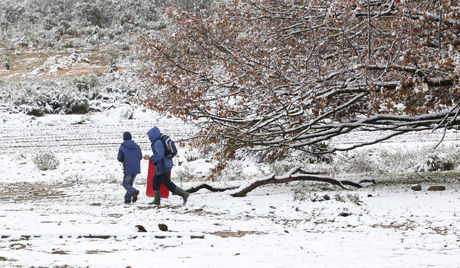 snow south africa