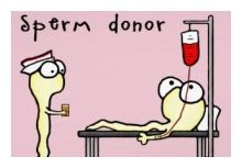 Sperm Donor