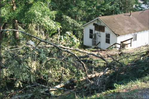 Weather Damage