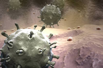 Virus