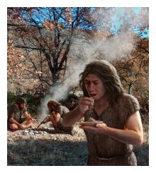 Click to enlarge Neanderthals