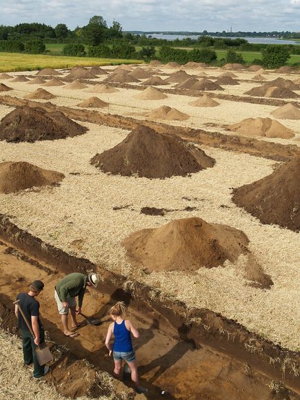 Viking town discovered Germany