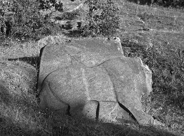 Lion Sculpture_3