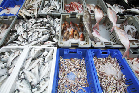 fish @ market