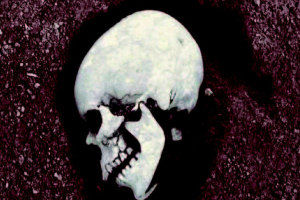 neolithic skull