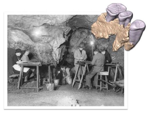 Click to enlarge Archaeologists