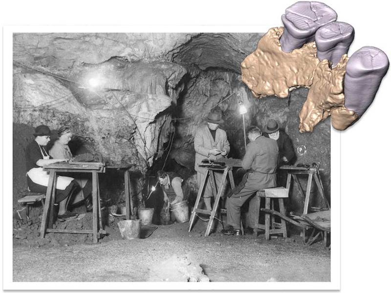 Click to enlarge Archaeologists