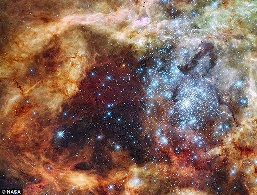 Biggest Stars