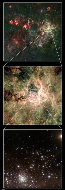 Massive Stars