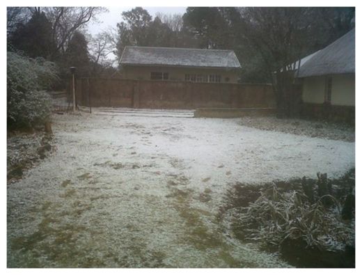 JoBurg Snow