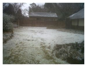 Click to enlarge JoBurg Snow