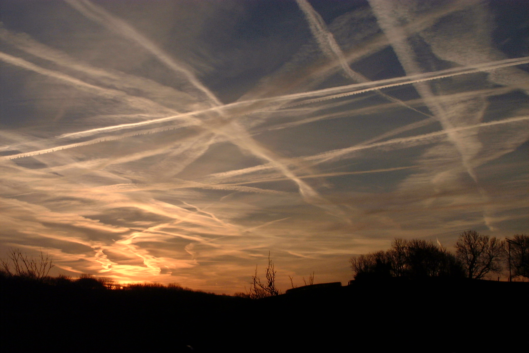 Chemtrails, Disinformation and the Sixth Extinction