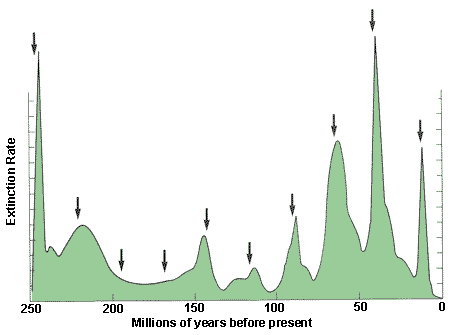Click to enlarge Image