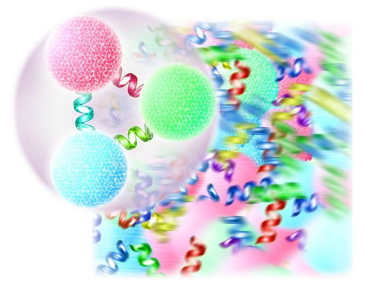 Hottest Particle Soup May Reveal Secrets Of Primordial Universe 