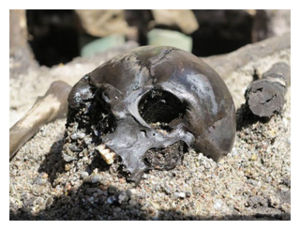 Click to enlarge Ancient Skull