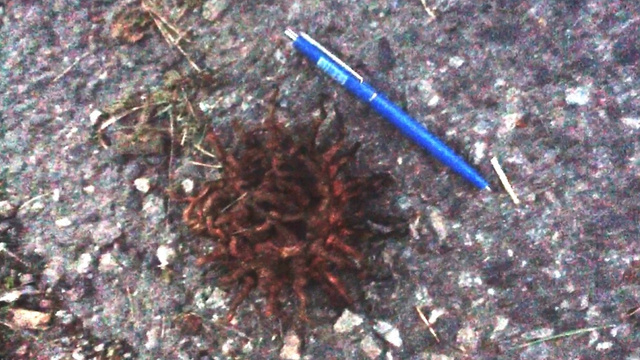 What is it?
