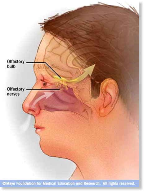 Click to enlarge Nerve damage