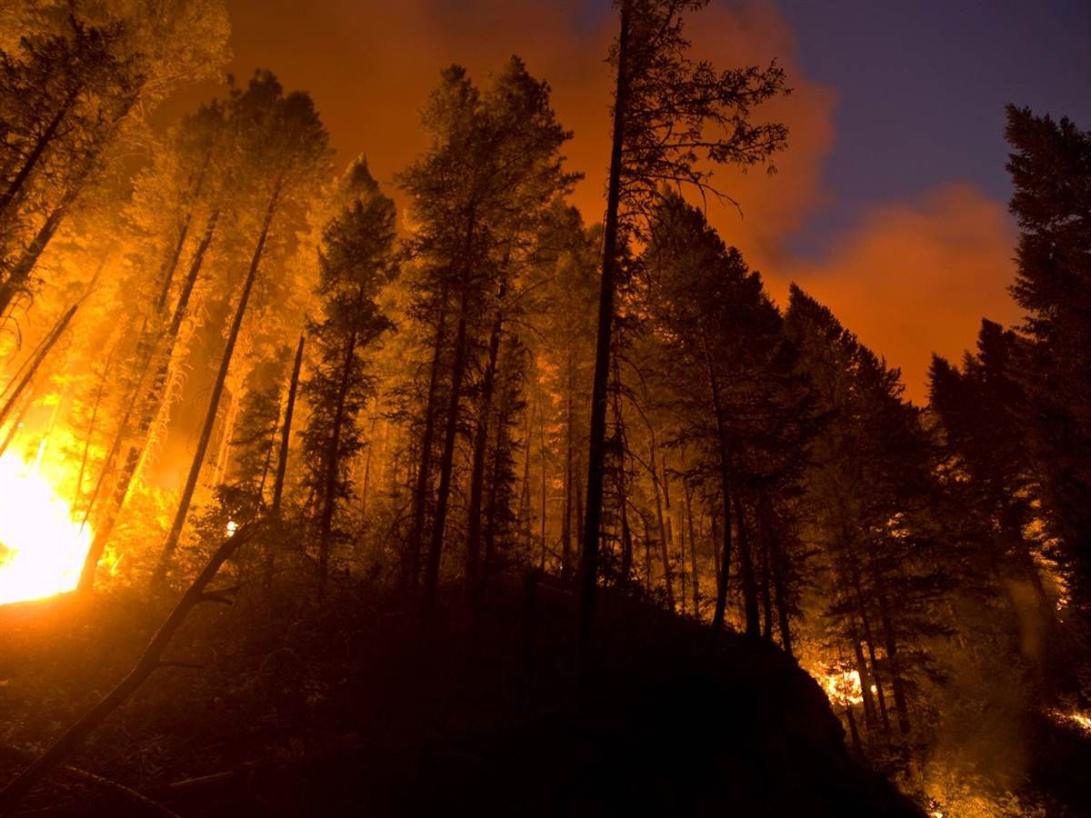Fire crews battle wildfires blazing across Western US Earth Changes