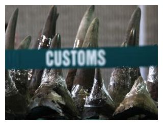 Rhino Horns