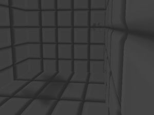 padded cell