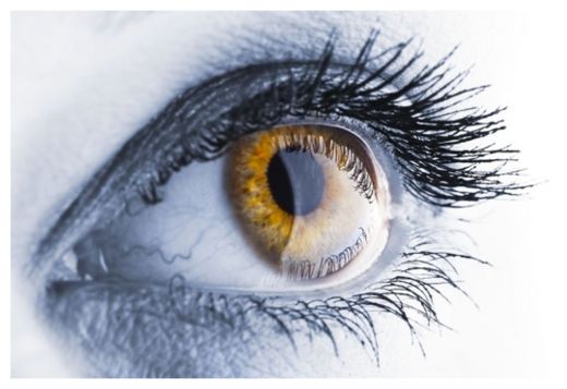 Eye