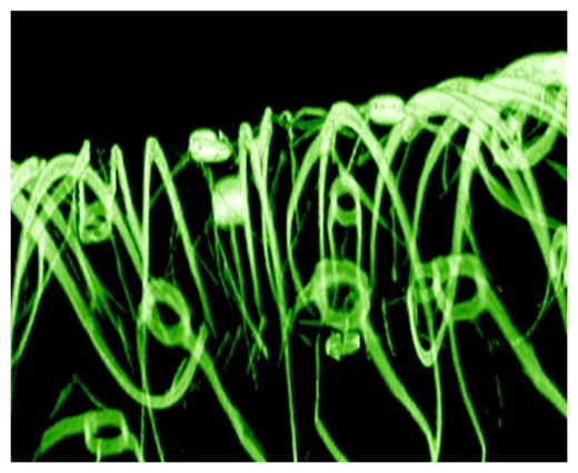 Nanowires