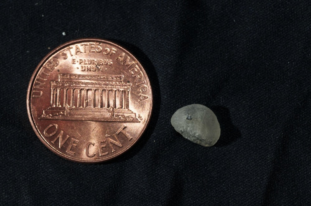 Click to enlarge Denisovan Bone