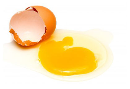 Click to enlarge Egg