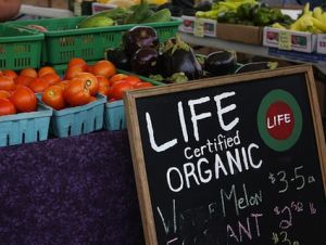 organic food