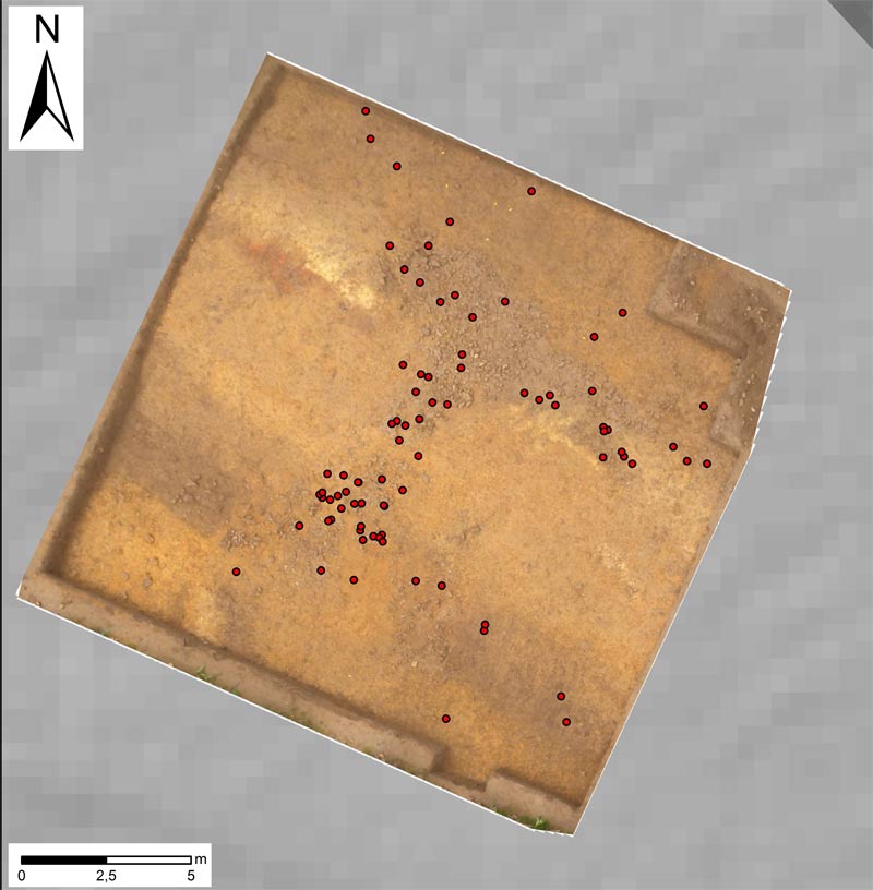 Roman Camp