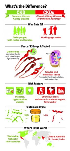 CKD
