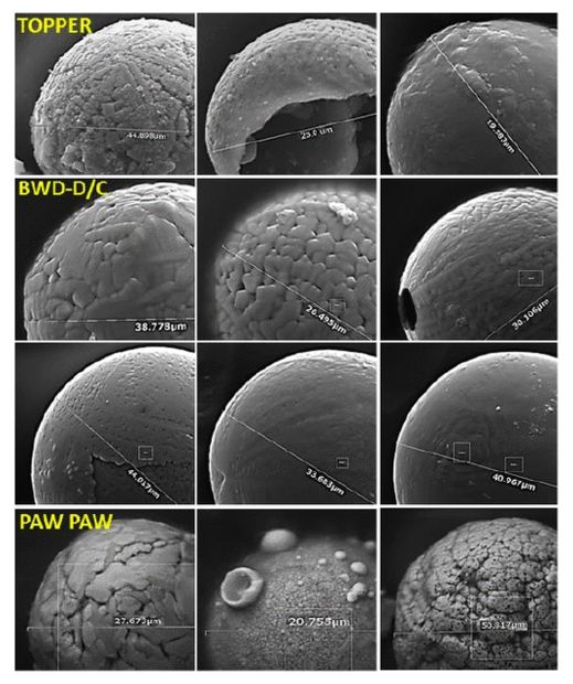 Click to enlarge Spherules