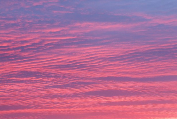 Undulatus Asperatus