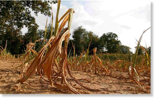 drought